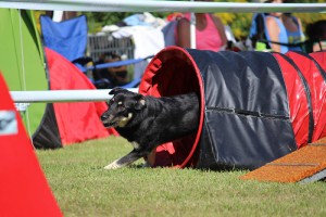 img_6912.jpg