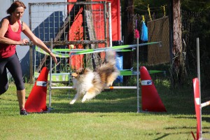 img_6644.jpg